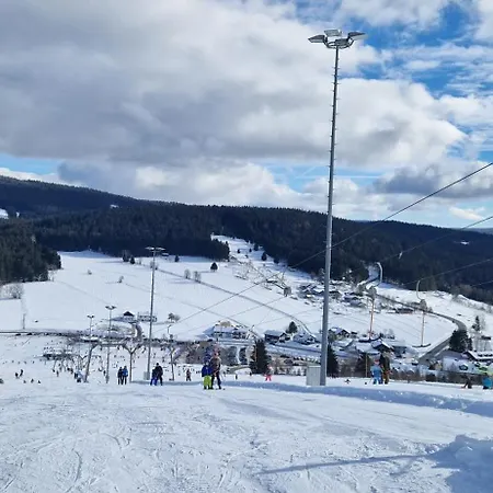 Pools, Sauna Und Balkon Mit Panoramablick Sankt Englmar