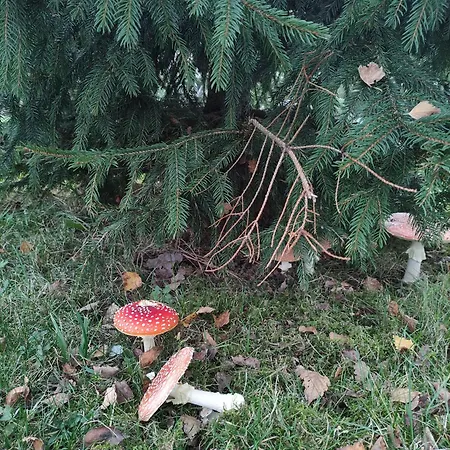 Apartamento Pools, Sauna Und Balkon Mit Panoramablick